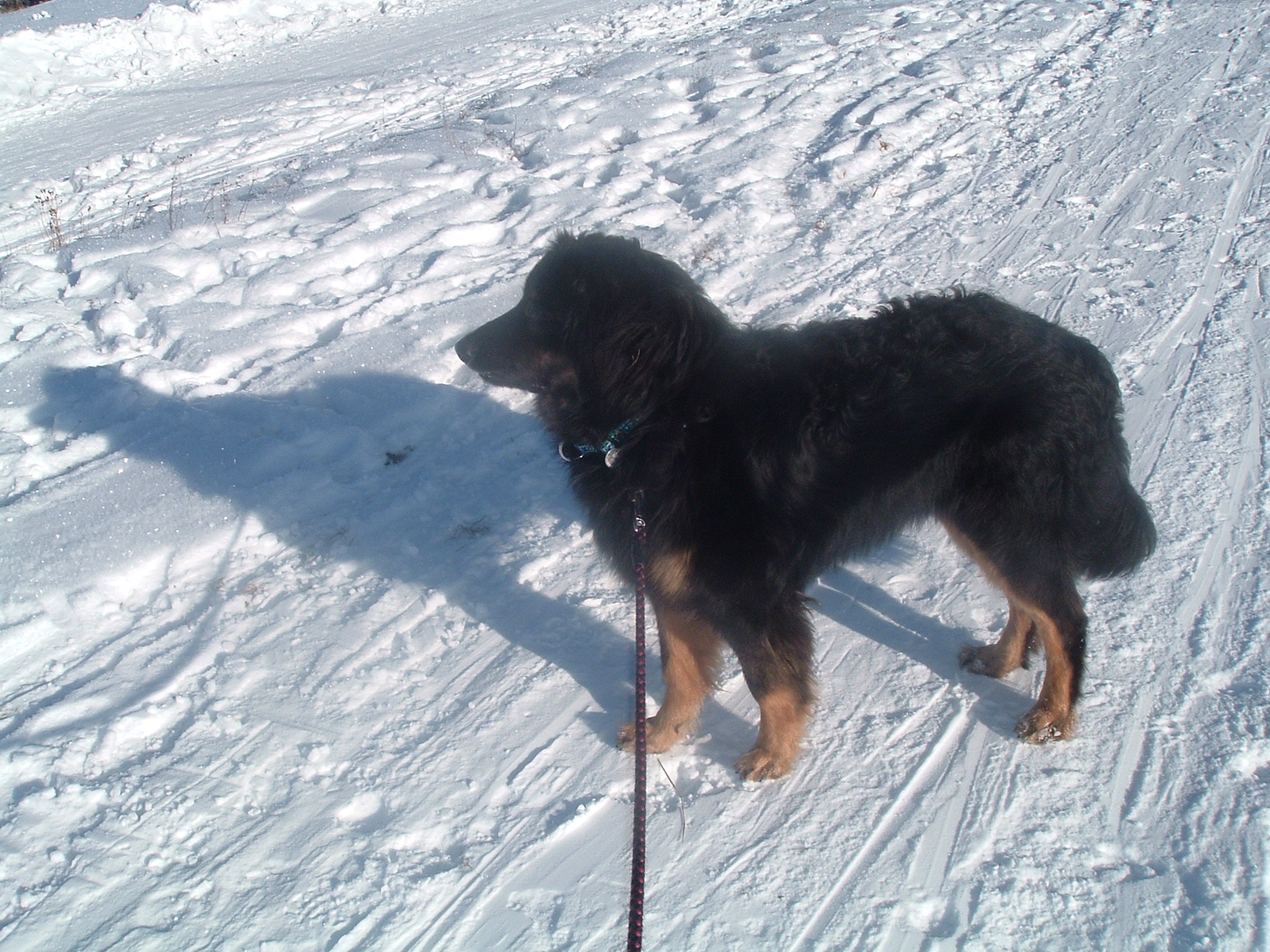 DSCF9376.JPG