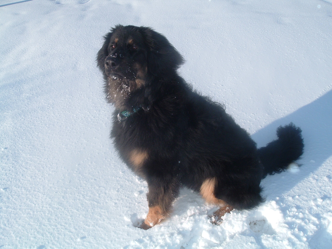 leden 2009 010.jpg
