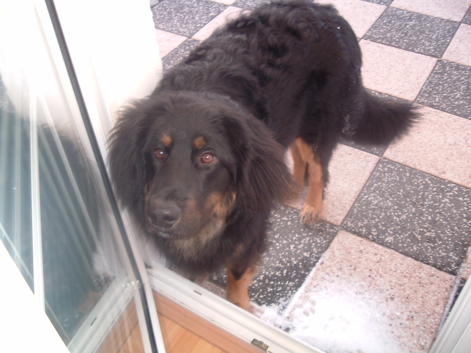leden 2009 050.jpg