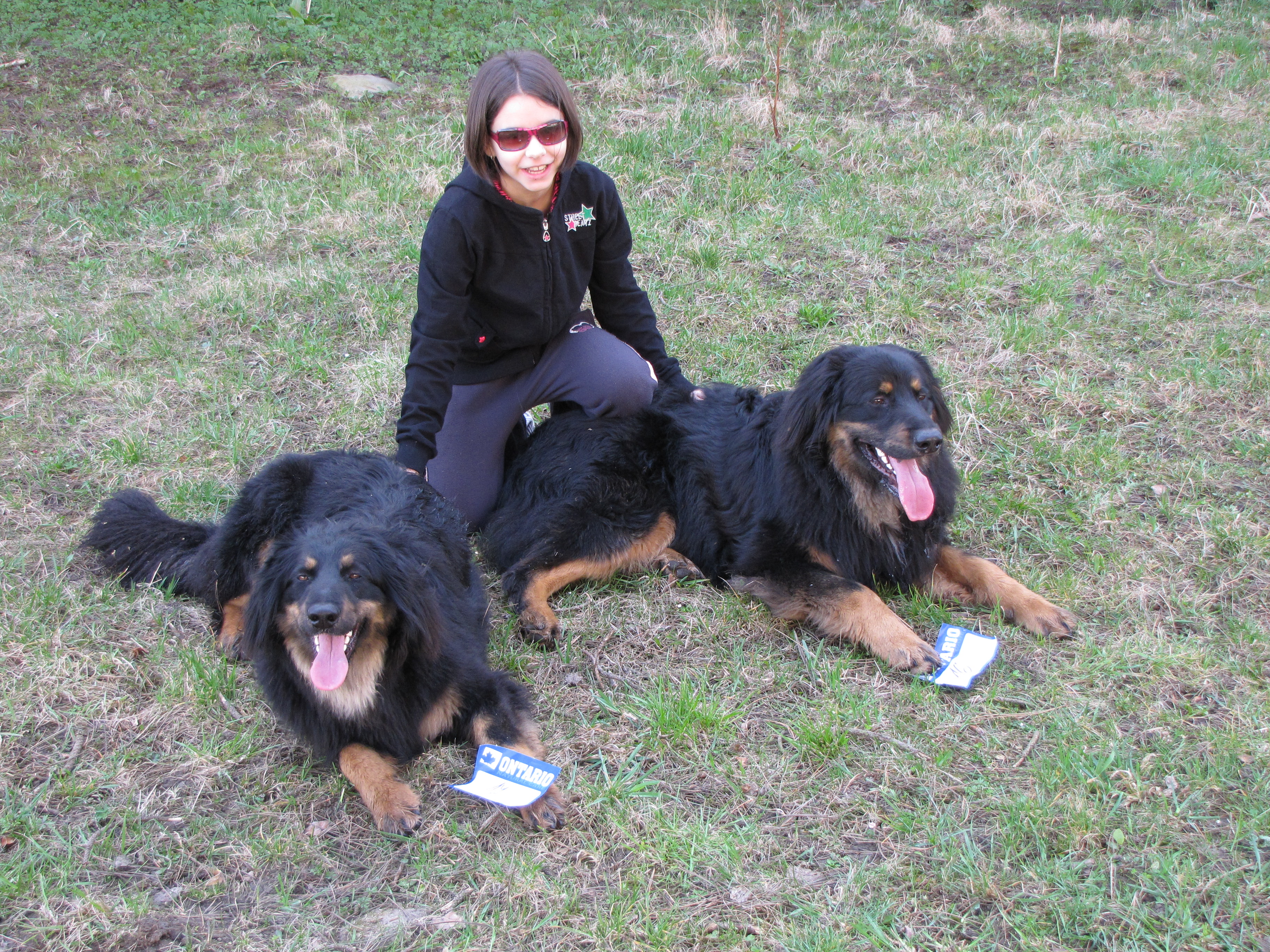 zleva:Ariela,Natálka,Aramis.JPG