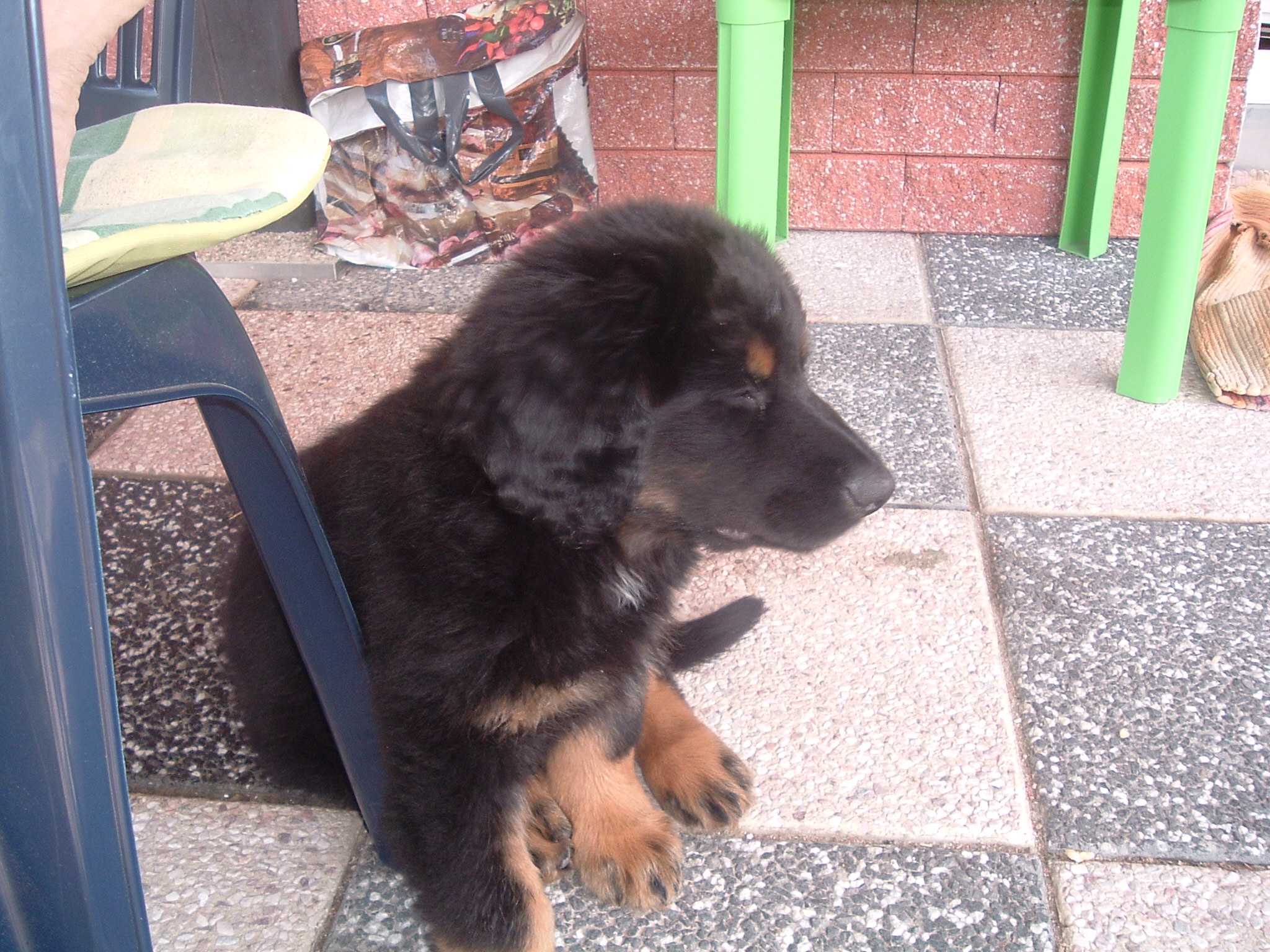 DSCF8205.JPG