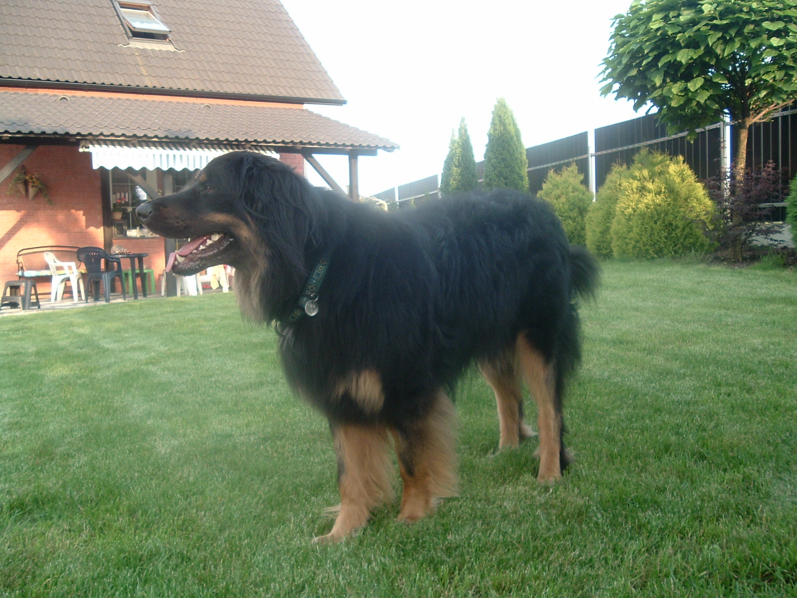 DSCF9938.JPG