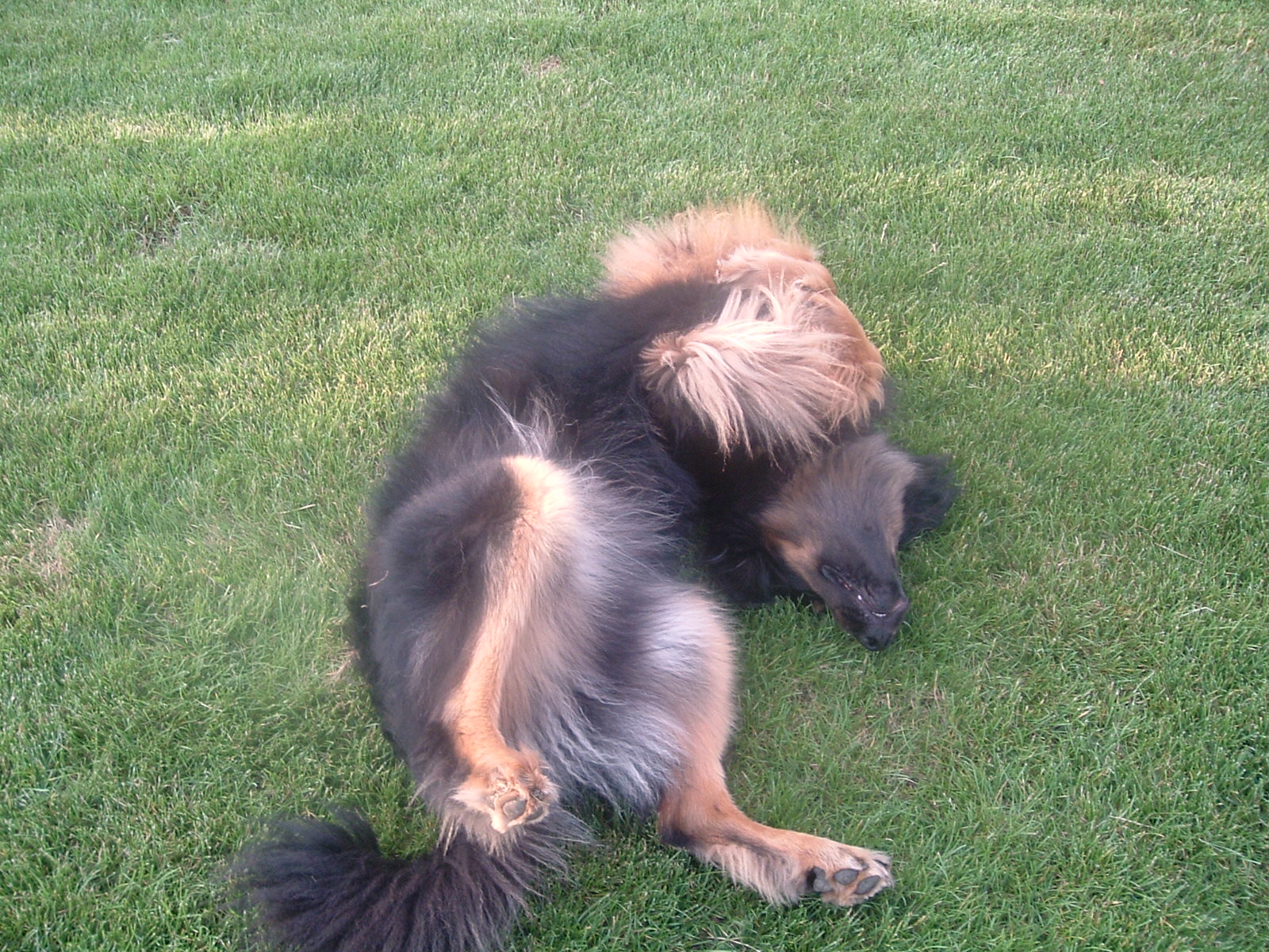 DSCF9950.JPG