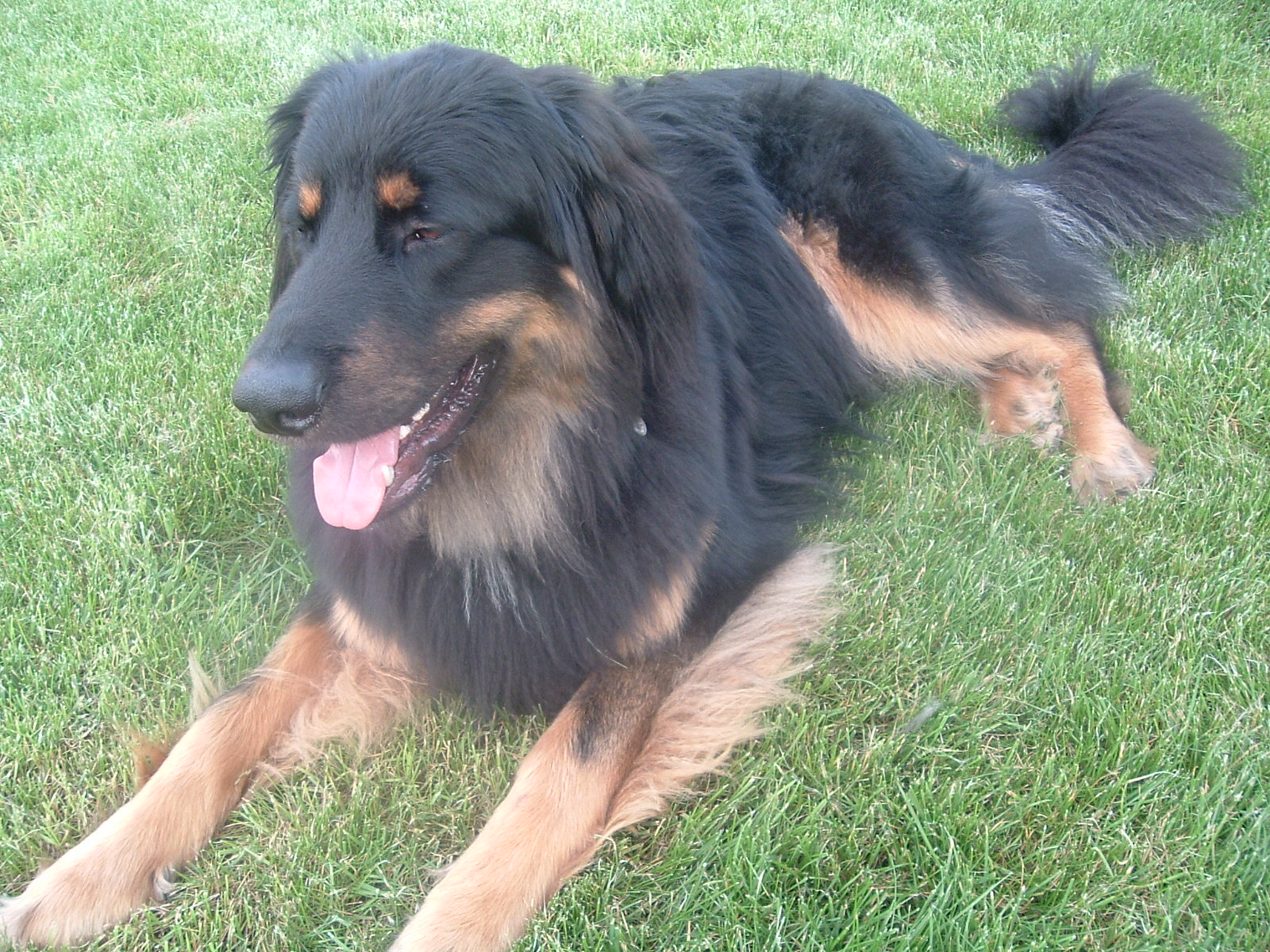 DSCF9945.JPG