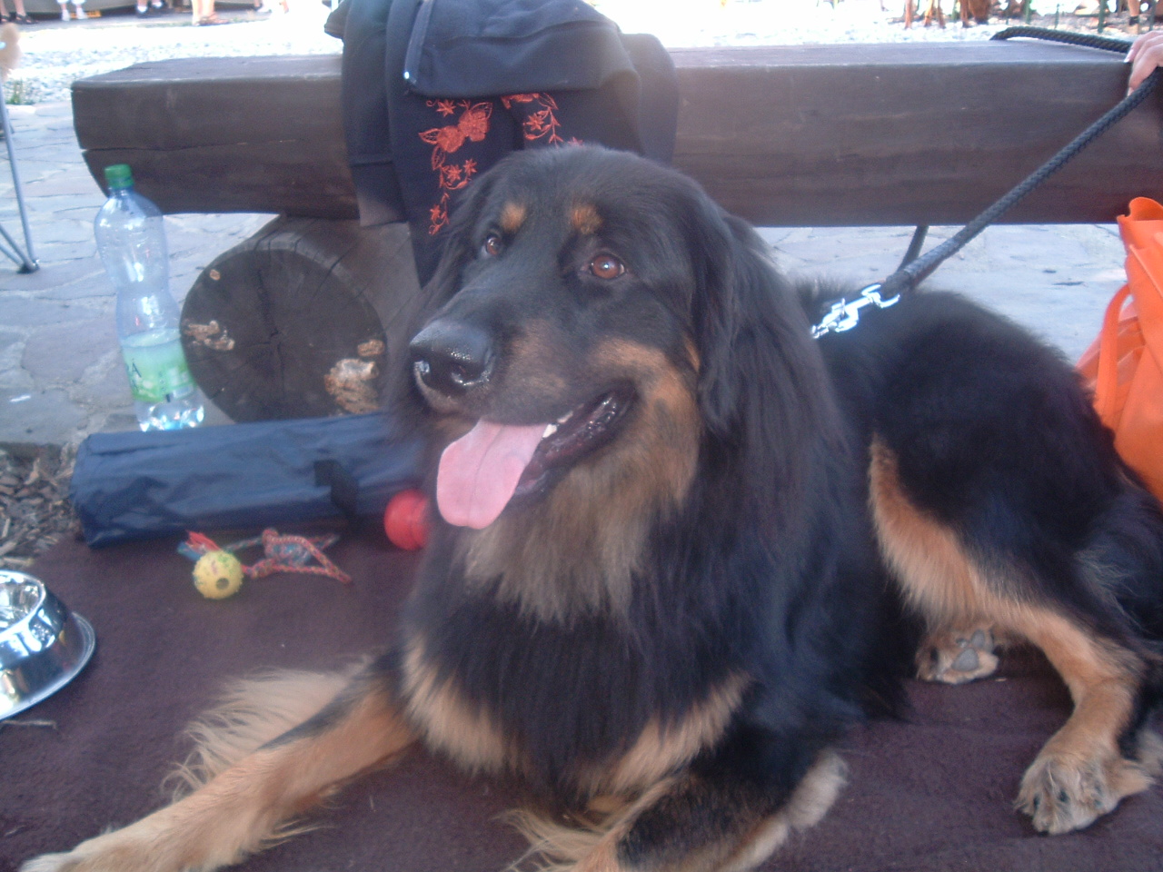 DSCF0098.JPG