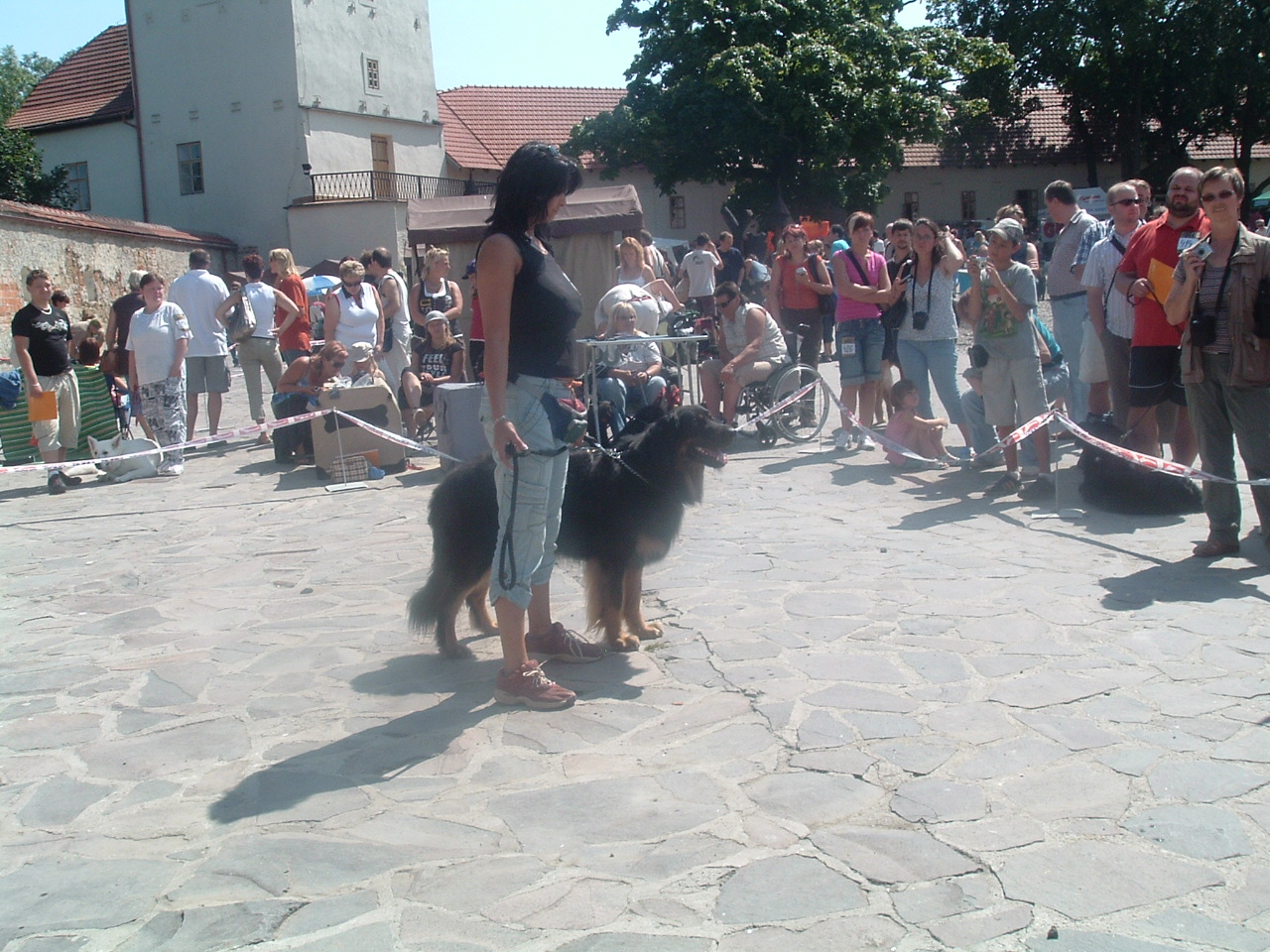 DSCF0166.JPG