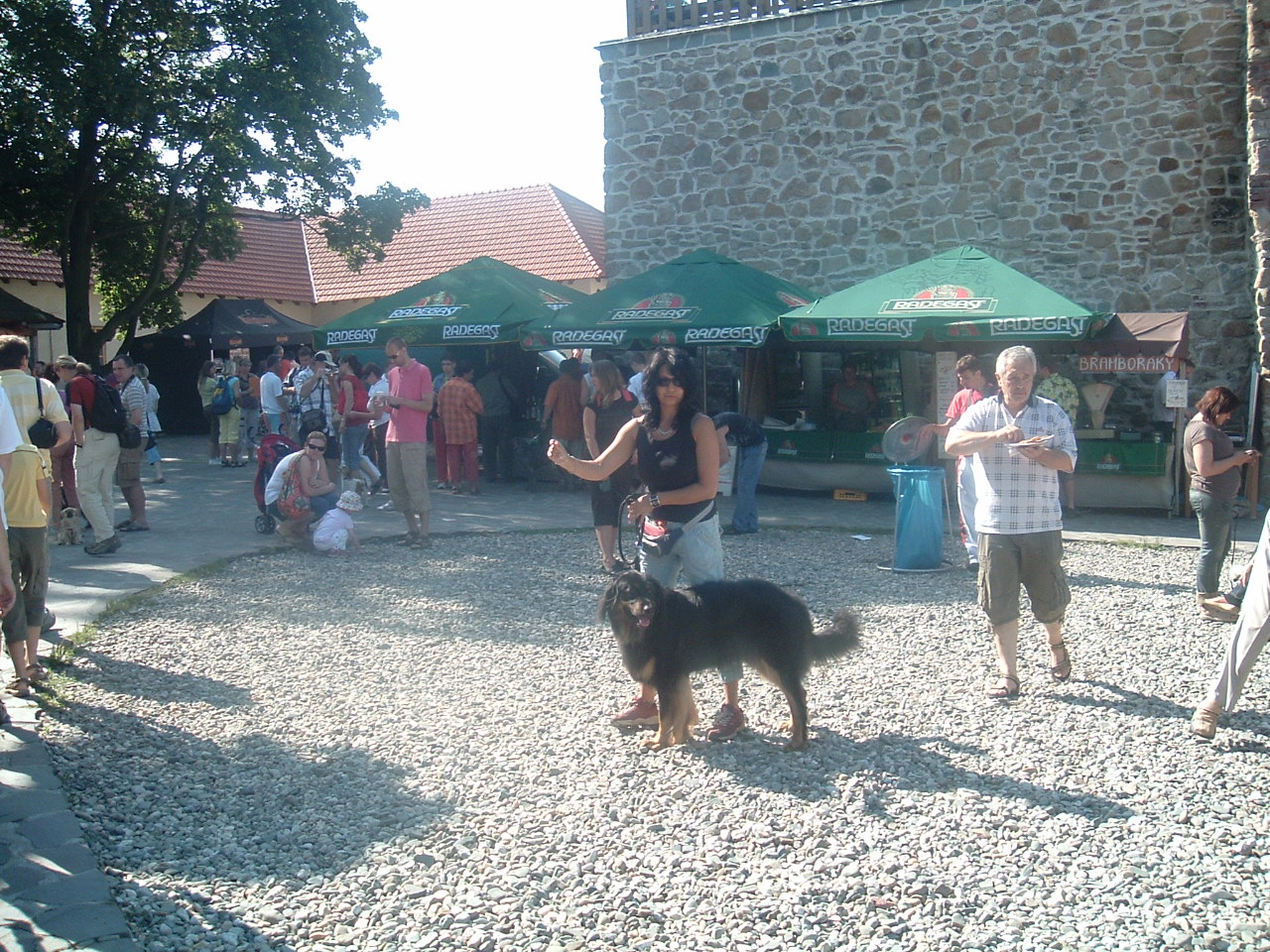 DSCF0150.JPG