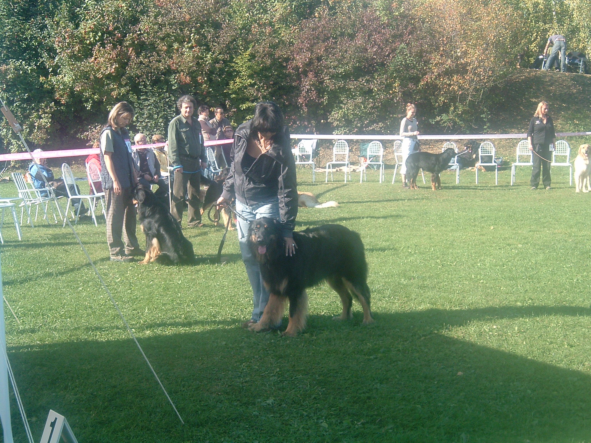 DSCF0914.JPG