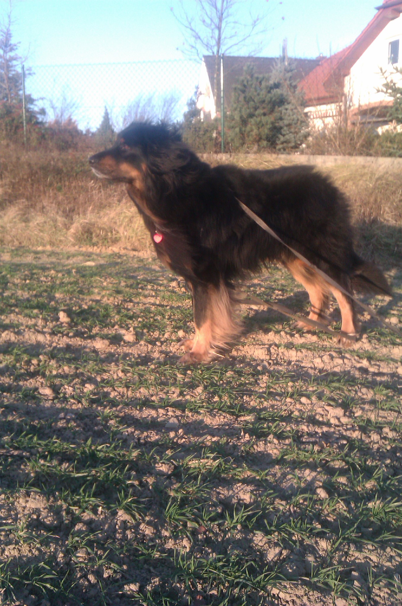 IMAG0267