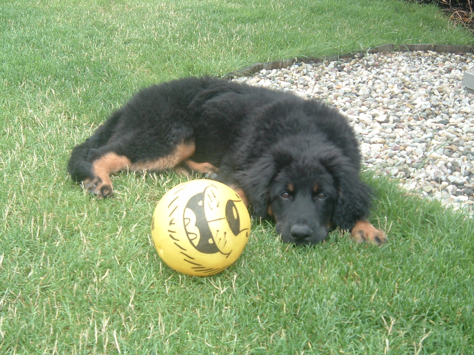 2008-07-15 11-36-34_0026.JPG