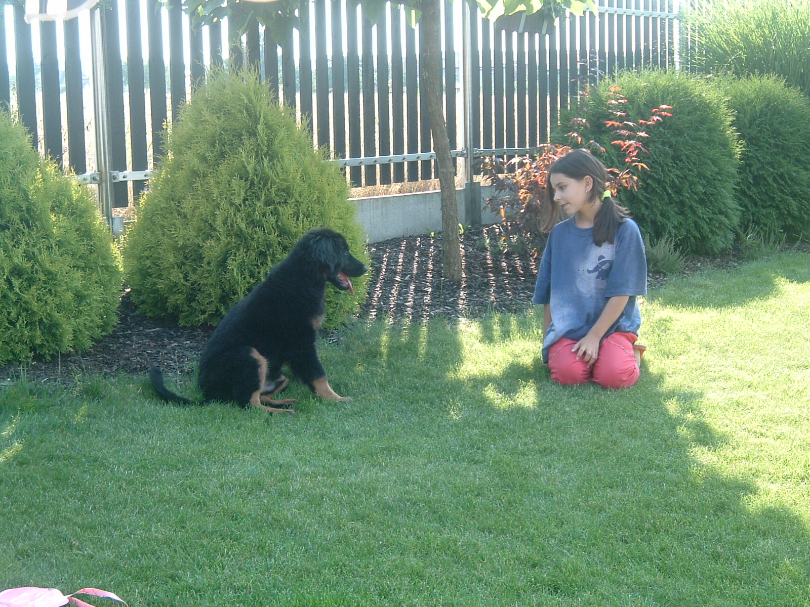 2008-07-28 17-17-10_0006.JPG