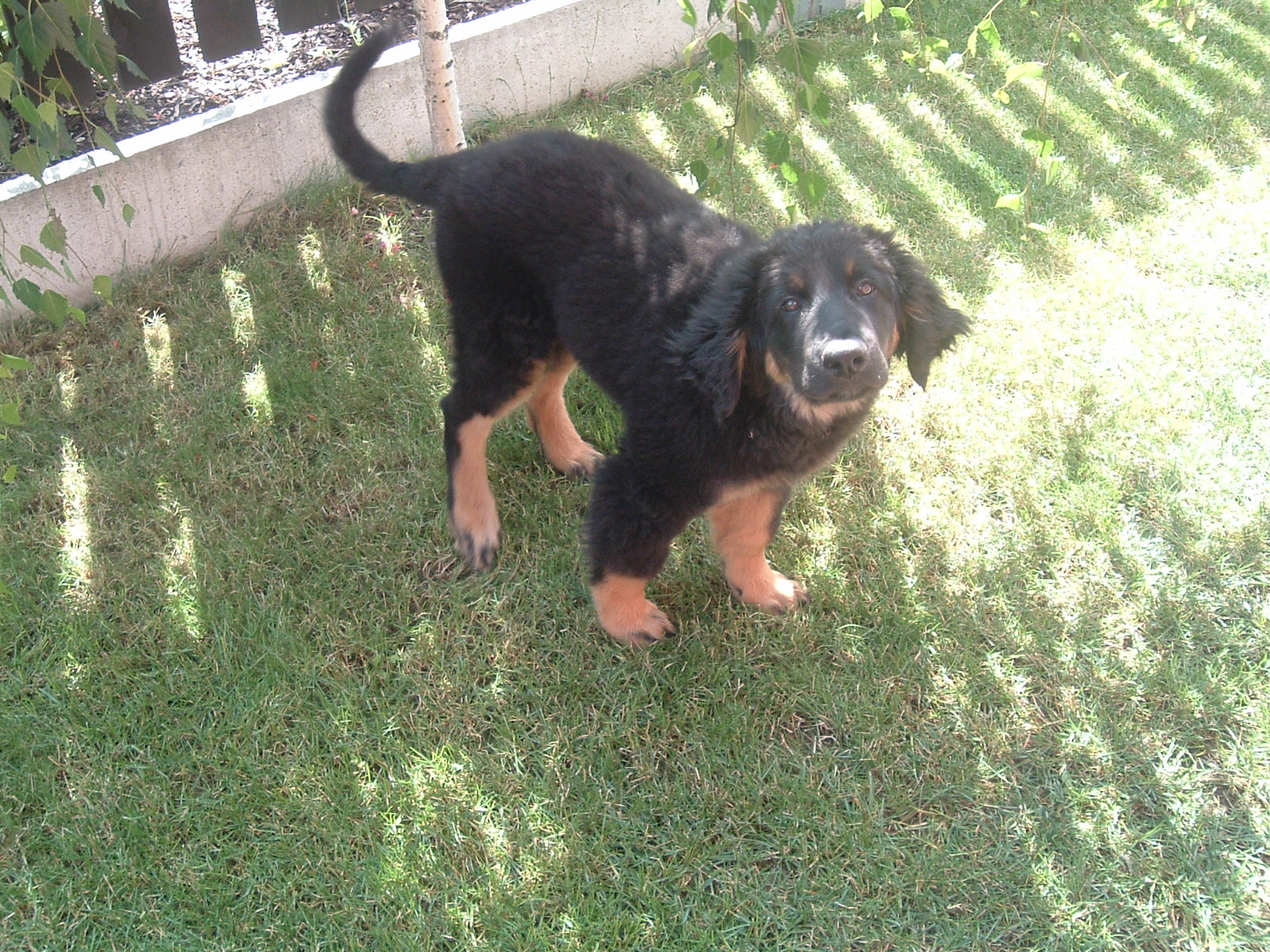 2008-07-15 11-17-18_0016.JPG