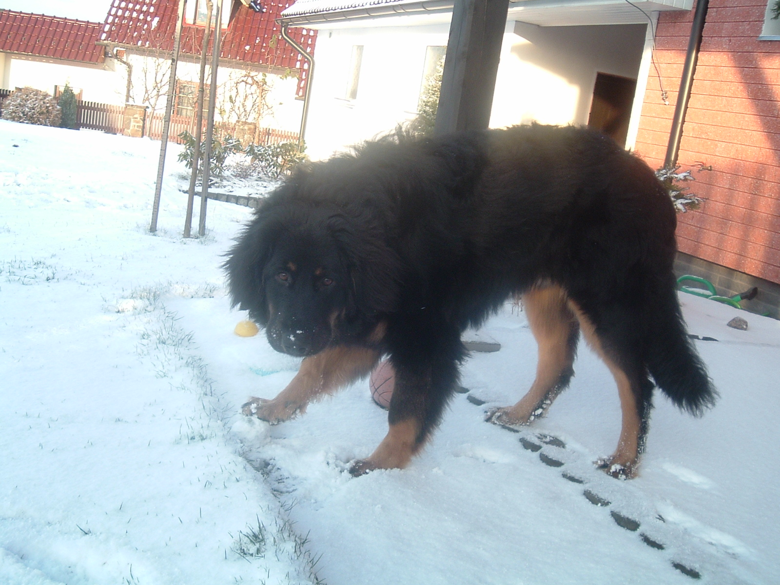 Snímek 034.jpg