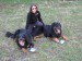 zleva:Ariela,Natálka,Aramis.JPG