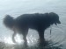 Velikonoce 2009 090.jpg