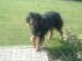 Velikonoce 2009 061.jpg