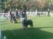DSCF0914.JPG