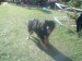 DSCF0926.JPG